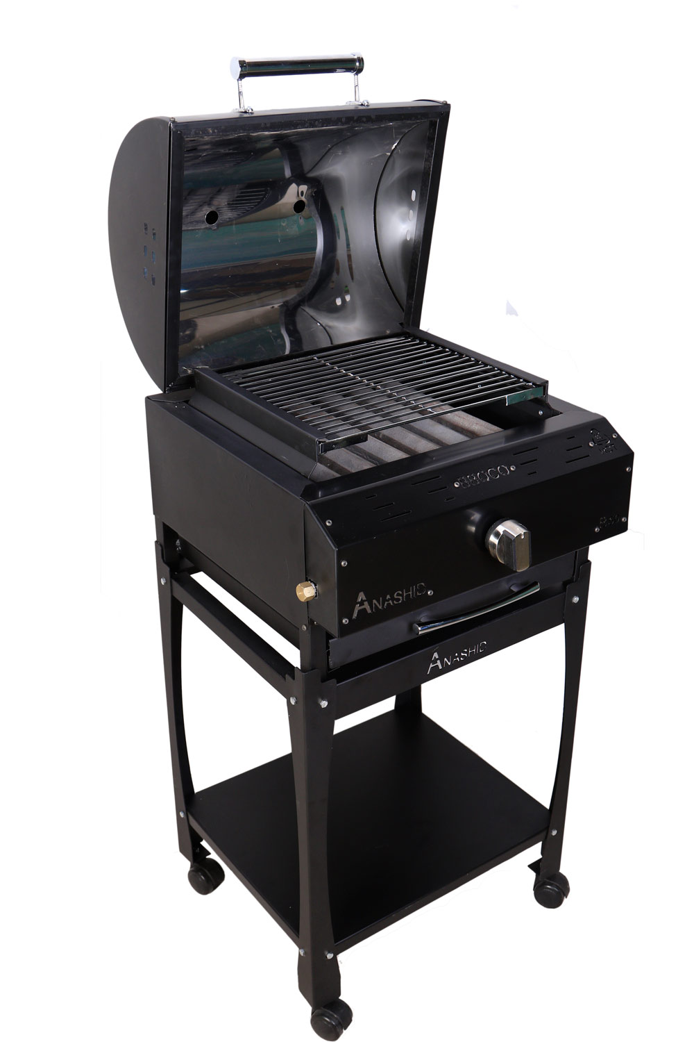 باربیکیو حرفه ای چی بخریم